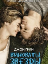    / The Fault in Our Stars (2014) WEB-DLRip 